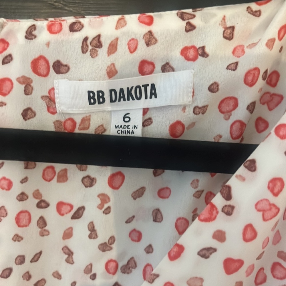 Bb Dakota summer dress.